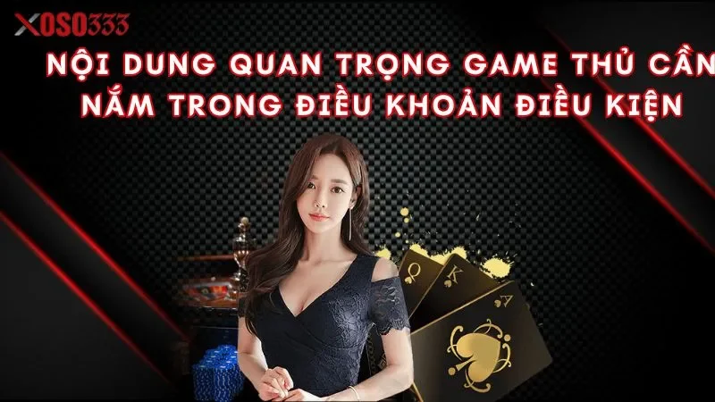 Điều khoản điều kiện xoso333 - Bí kíp an toàn khi cá cược 2 noi-dung-quan-trong-game-thu-can-nam-trong-dieu-khoan-dieu-kien