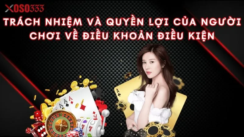 Điều khoản điều kiện xoso333 - Bí kíp an toàn khi cá cược 3 trach-nhiem-va-quyen-loi-cua-nguoi-choi-ve-dieu-khoan-dieu-kien